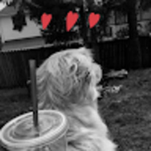 Meet your Posher, Linds